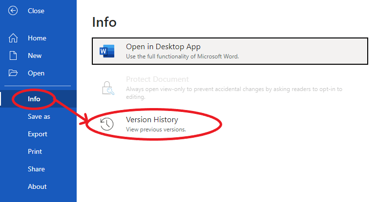 Version History in Word